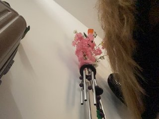 Rosmar_18 Porn Show