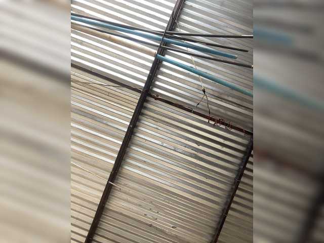 Rosmar_18