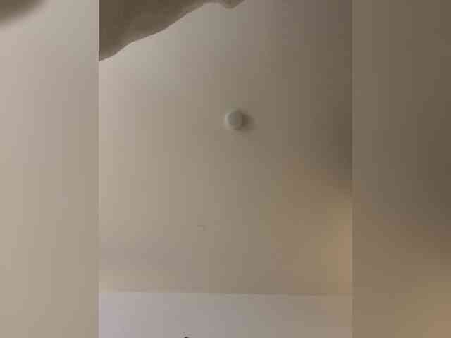 Rosmar_18