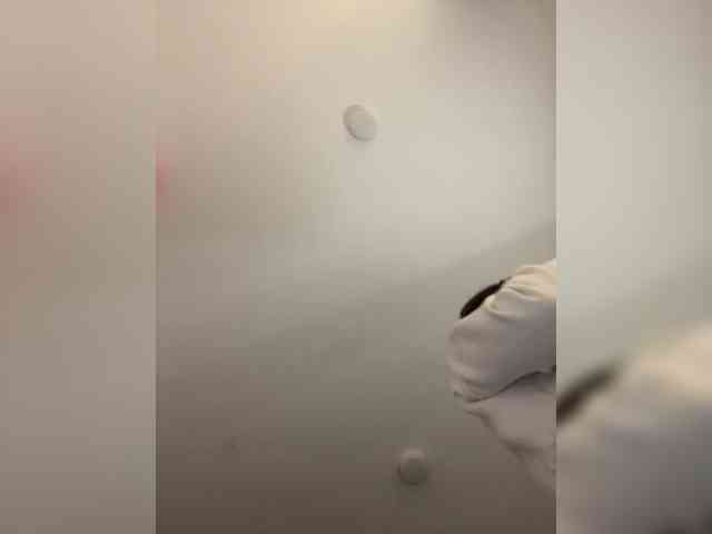 Rosmar_18