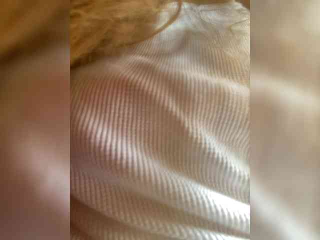 Rosmar_18 webcam