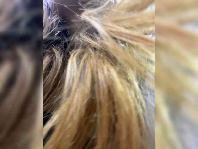 Rosmar_18 webcam