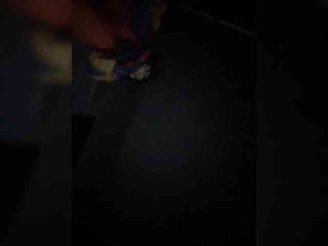 Rosmar_18