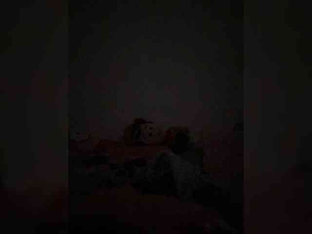 Rosmar_18 webcam