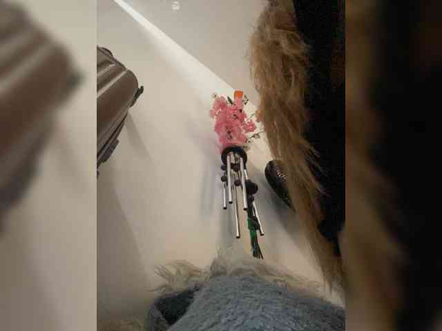 Rosmar_18 webcam