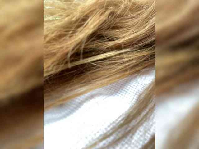 Rosmar_18 webcam