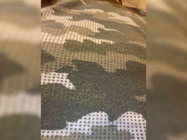 Rosmar_18