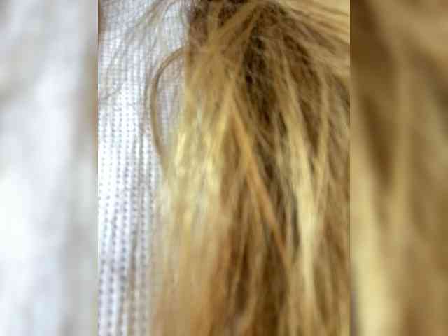 Rosmar_18 webcam