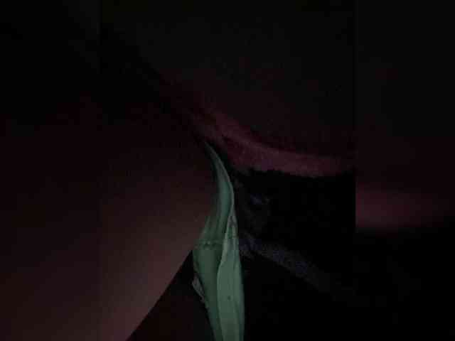 Rosmar_18