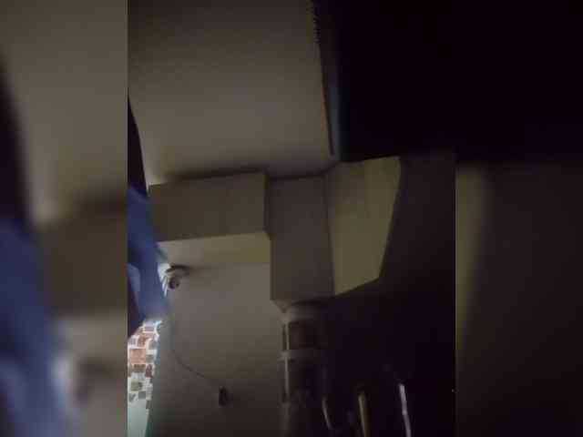 Rosmar_18