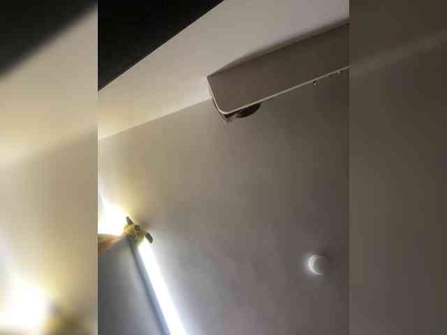 Rosmar7-