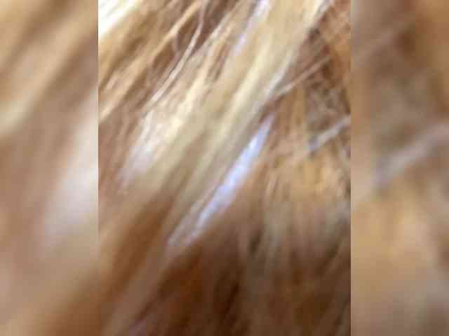 Rosmar7-