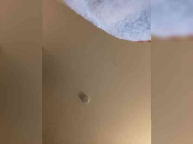 Modèle: Rosmar_18