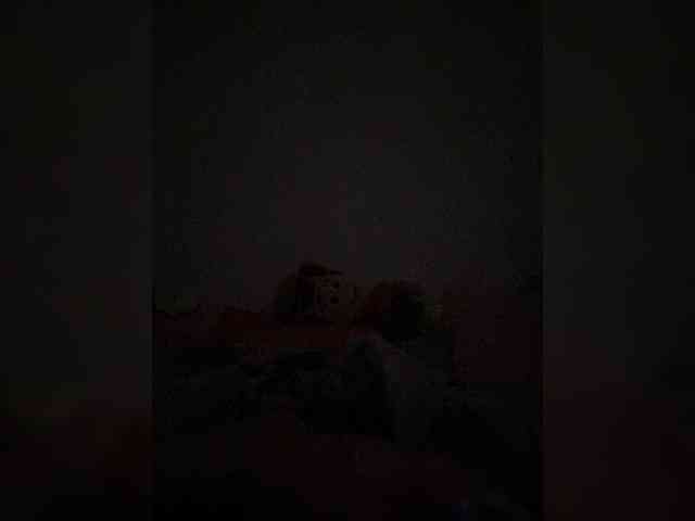 Rosmar_18 webcam
