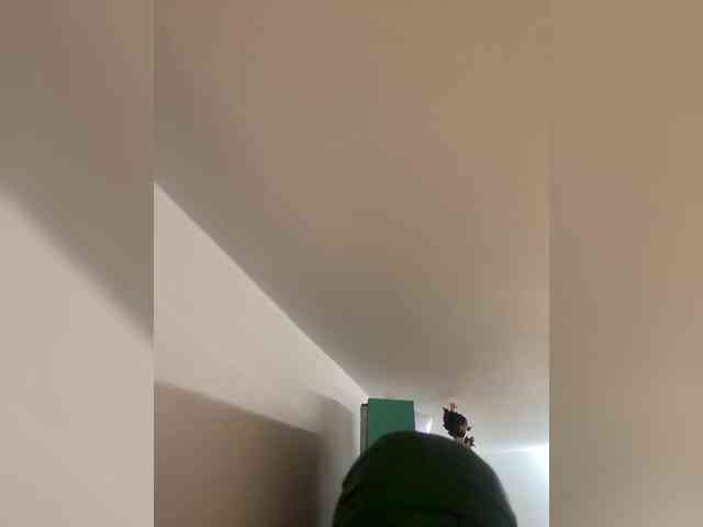 Modèle: Rosmar_18
