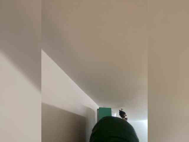 Modèle: Rosmar_18