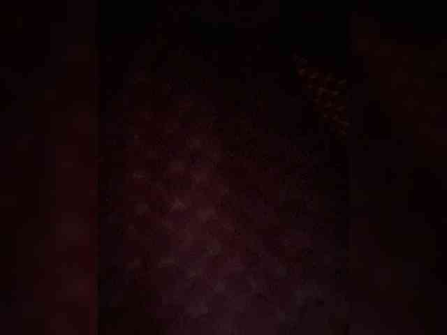Rosmar_18