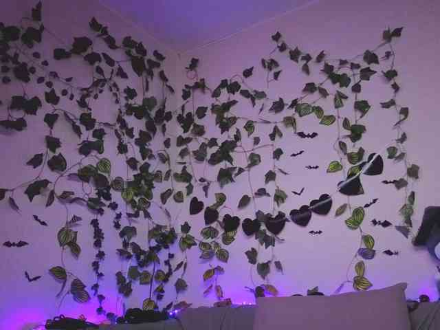 kawaiikitty's live room