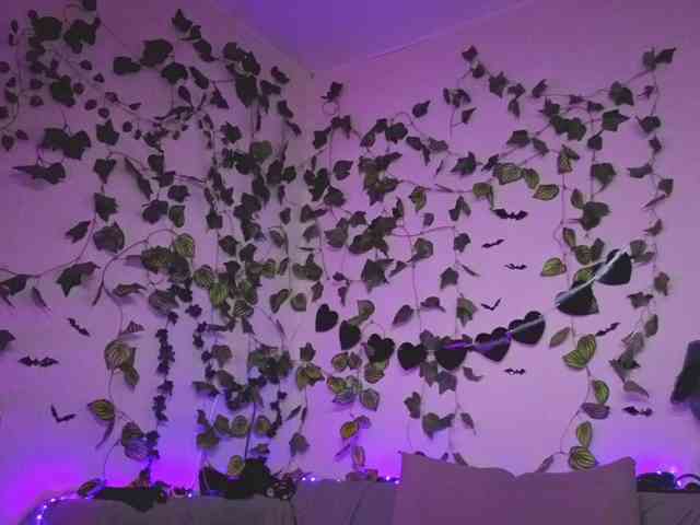 kawaiikitty's live room