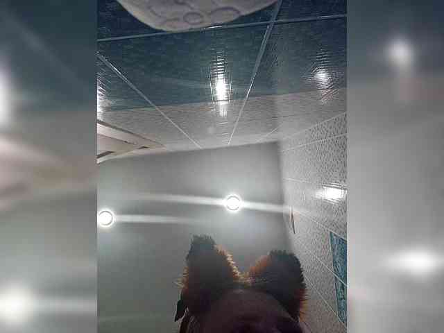 -Queen-Margo- webcam