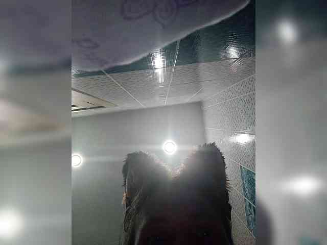 -Queen-Margo- webcam