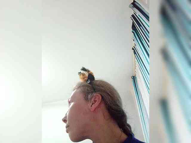 -Queen-Margo- webcam