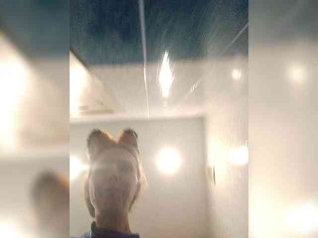 -queen-margo- -queen-margo-