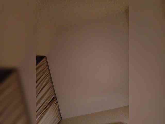 LI_LISA webcam