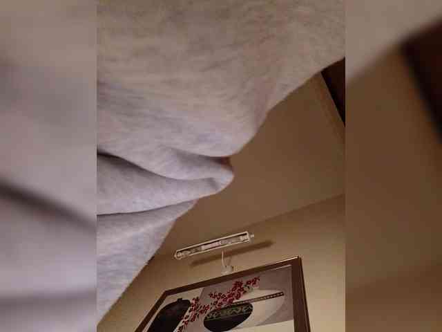 LI_LISA webcam