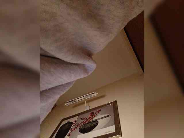 LI_LISA webcam