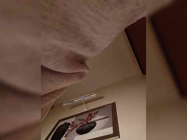 LI_LISA webcam
