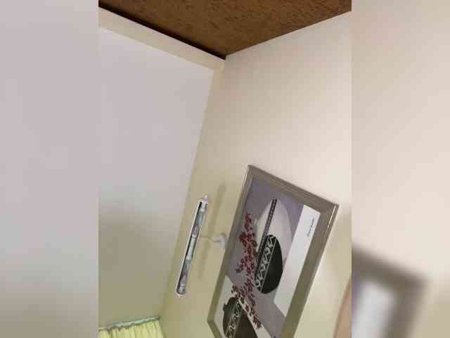 LI_LISA webcam