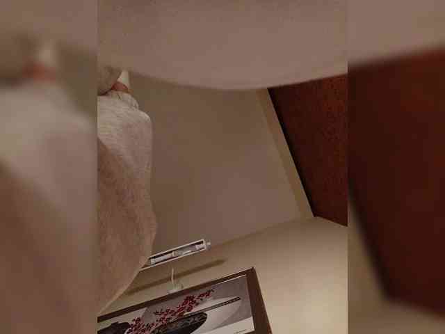 LI_LISA webcam