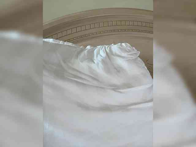 LILI-T- webcam