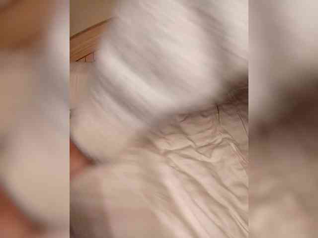 LI_LISA webcam