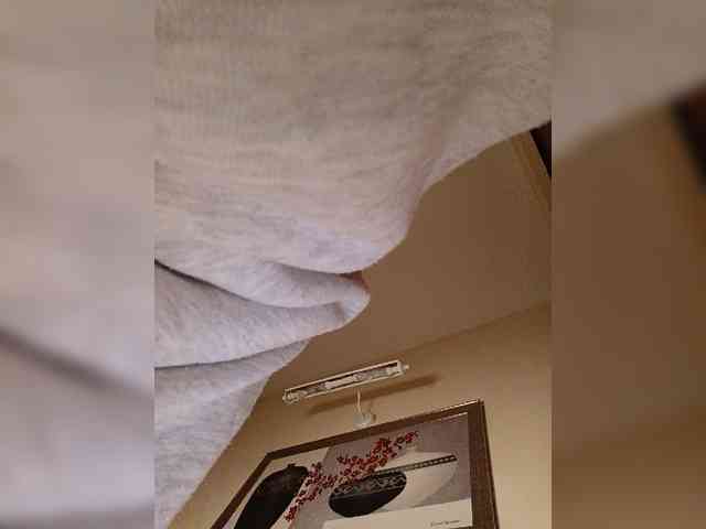 LI_LISA webcam