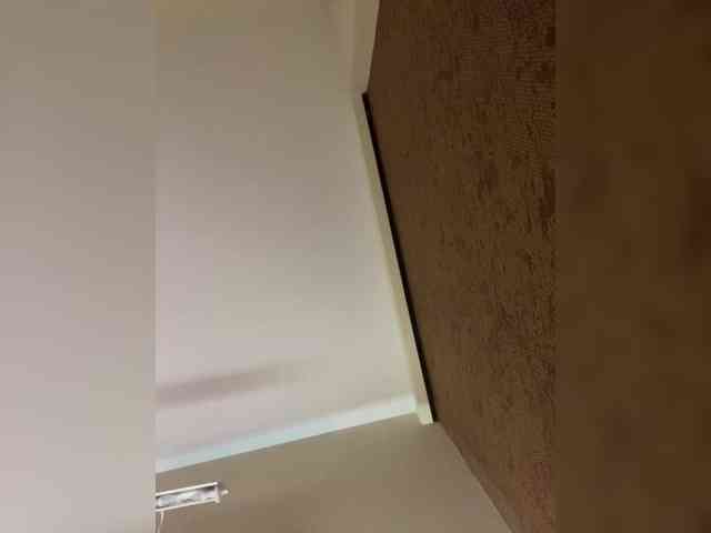 LI_LISA webcam