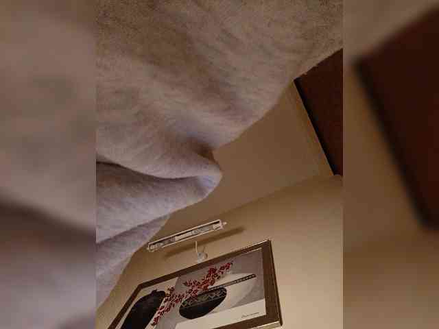 LI_LISA webcam