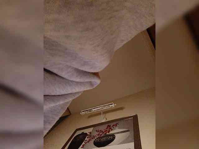 LI_LISA webcam