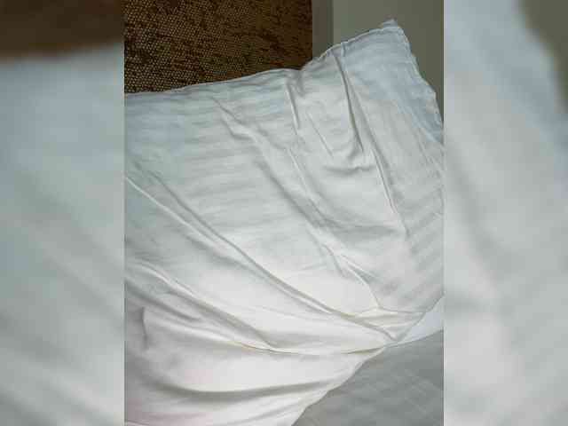 LILI-T- webcam