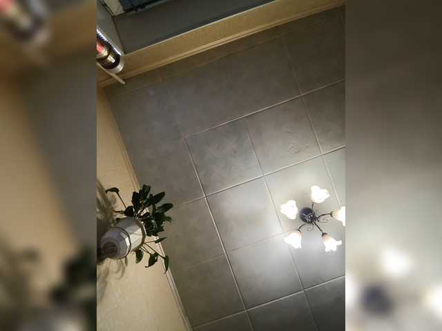 Aligator0453