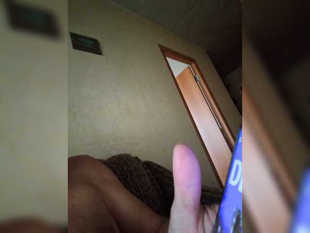 Aligator0453