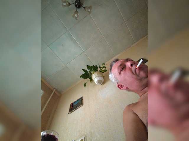 Aligator0453