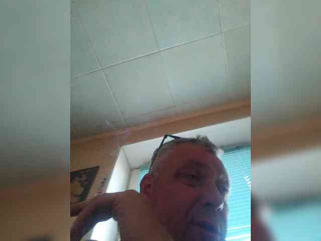 Aligator0453