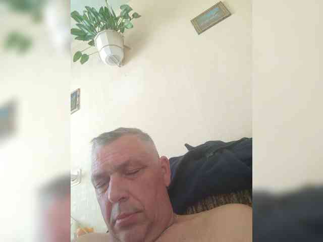 Aligator0453