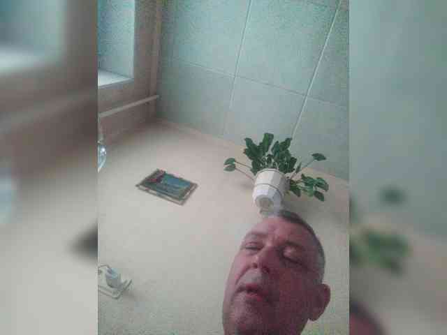 Aligator0453