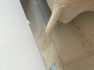 su_velvet Porn Show