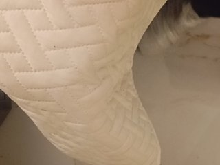 su_velvet Porn Show