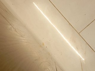 su_velvet Porn Show