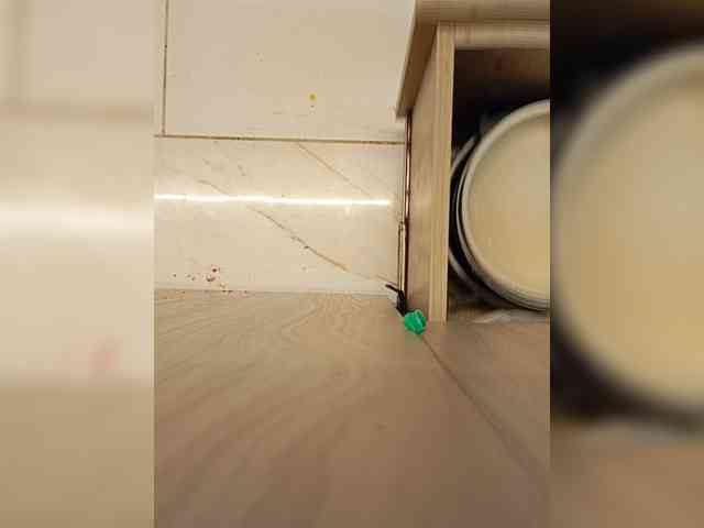 su_velvet webcam